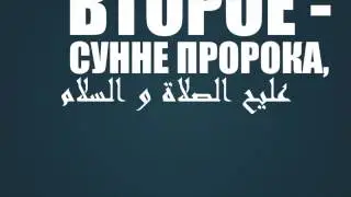 Абу Яхья - Слова шейха аль-Албани