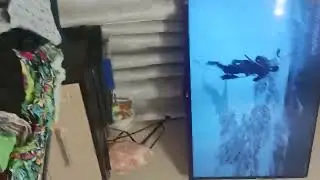 Путешествия Хренобуса секретный сезон 2 серия: ПСка