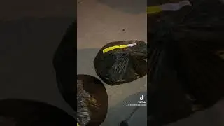 #dumpsterdiving for timbuk2 bags