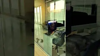 3 сентября 2024 г.