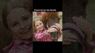 Horse Photomosaic created with EasyMoza
