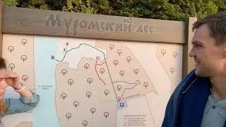 Прогулка в Муромском лесу города Белгород
