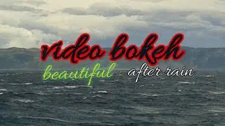 VIDEO BOKEH beautiful after rain