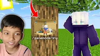 TROLLING MY BROTHER using TINY MOD in MINECRAFT🤣