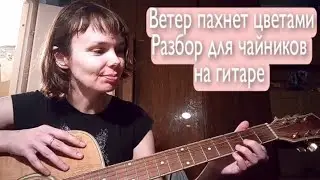 Ветер пахнет цветами. Разбор для чайников на гитаре