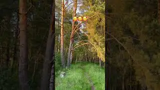 Моя любимая тропа у дома🥰
