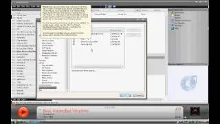 Media Monkey - Customization and Options