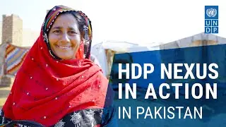 HDP Nexus in action, in Pakistan