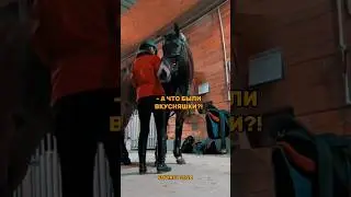 ⚡я всегда онлайн в телеграме - @eqvirey