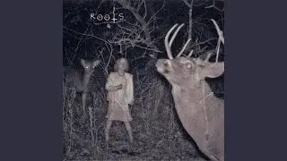 roots
