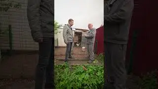 Куры несут голубые яйца. Сельское хозяйство 