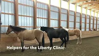 West Meadow Farm Weekly Highlights - May 7-14th, 2023