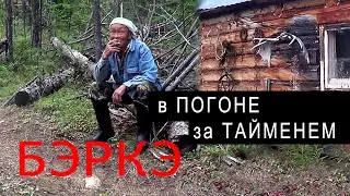 В ПОГОНЕ за ТАЙМЕНЕМ. Продолжение.