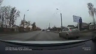 Бродячие собаки