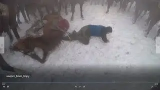 Көк бөрүдө аты менен кошо жыгылып.... Таң маанай
