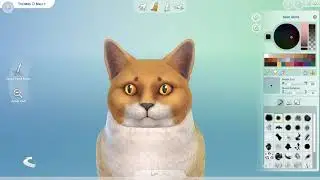 Sims 4 cast Thoms O Mally aristocuts