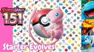 Pokemon 151 - Starter Evolves  |  Pokemon TCG