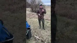 Вертушка мепс третий номер сделала рыбалку"бессмертная классика"