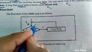 While Loop : Syntax , Working and Example - syntax of while loop , working of while loop Example