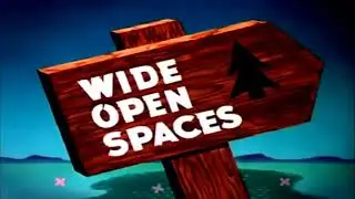 Wide Open Spaces (MGM Titles)