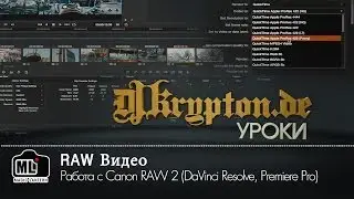 УРОК: Работа с Сanon RAW 2 (DaVinci Resolve, Premiere Pro)