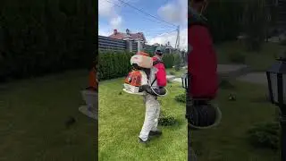 Обработка хвойных растений перед зимовкой.