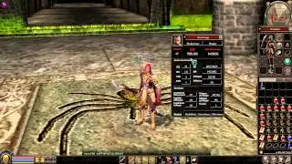Metin2 FR Commentray | Le stuff de taré