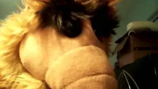ALF gets caught!