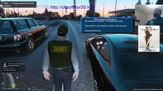 Cops: In The LSPDFR Matrix, special episode no narrator just set to different music.
