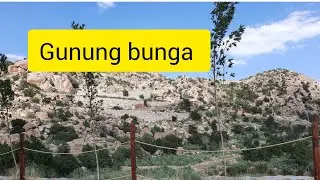 Vlog jalan-jalan ke gunung thaif saudi arabia @dapurarabsemuaresep5169