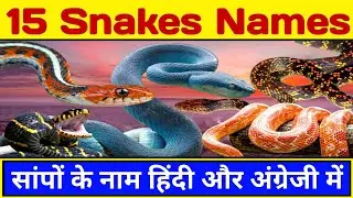 Snakes names in hindi and english with pictures || सांपों के नाम || Learn English Vocabulary