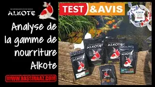 Analyse gamme de nourriture Alkote All Season, Alkote Spirulina et Grower (bassin de jardin)