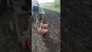 Плуг на заказ почта vova.shkuratov.74@bk.ru