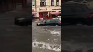 После ядерного взрыва выживут только тараканы и электросамокатчики.