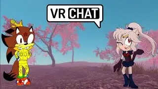 ANOTHER HEDGEFOX FOUND??? Sailor Peace Meets Superior the Hedgefox (ft. ???) - VRChat