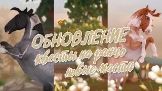 Обновление | Новые масти | Покупка | Задания на ранчо | Star Stable