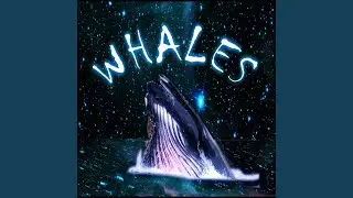 Whales (feat. Ruggez)