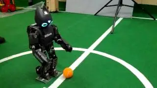 NUbot newbie kick