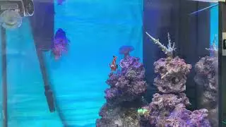 Не мог не показать морской аквариум!
