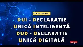 DUI sau DUD - Urmașii declaratiei unice