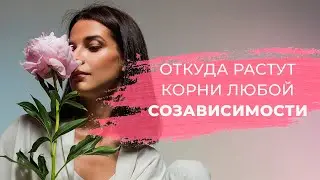 СИНДРОМ ОТЛИЧНИКА, СПАСАТЕЛЯ, ЖЕРТВЫ и другие признаки ЗАВИСИМОСТИ и СОЗАВИСИМОСТИ.