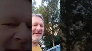 И Так каждое утро. Собака в шоке .