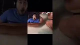 Это был укус 87? 