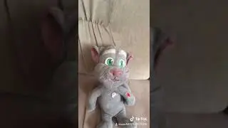 Игрушечный говорящий том и суббота