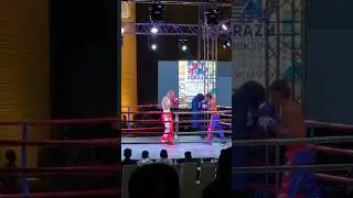 иссоп хива 2023
