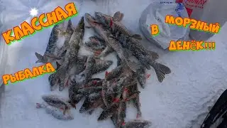 Классная рыбалка в мороз, с не приятным концом(. Зимняя рыбалка на окуня. Установка жерлиц на щуку.