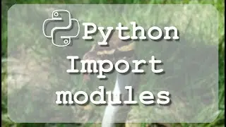 #13 Learn to use Python import module