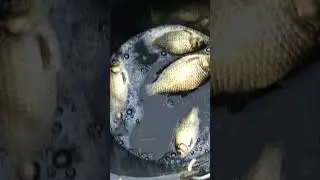 ПРОЩАЙ ЮТЮБ