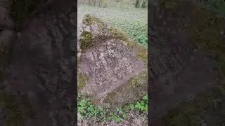 Охотничий домик(усадьба)Хрептовичей д.Вишнево