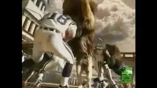 ATTACKING LIONS Vs COLTS: BEHIND THE SCENES